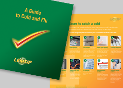 lemsip cold and flu guide