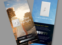 Transitions Brochure Design