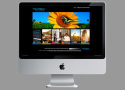 Transitions website design